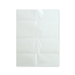 Gg[P10{1410:00`1623:59܂ AXxXgp (O) TCY  45x60cm 0.15mm 100x3 ASB-450N-3/|  AXxXg Ζȉ Ζ p   YƔp