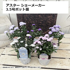 AX^[ V[[J[ 3.5c 񂹐A A K[fjO Ԓd Rei O| H̊񂹐A H̑