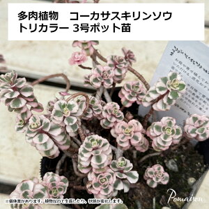 Z_ R[JTXL\E gJ[ A 3 |bg c