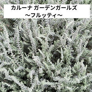 J[i K[fK[Y tbeB 3|bg