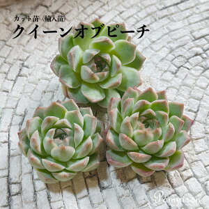 A GPxA c Jbgc Ac   NC[Ius[`