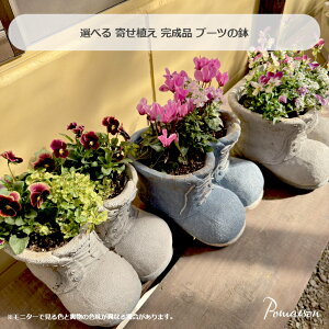 i i 񂹐A u[c^̔ pW[rI̊񂹐A VN̊񂹐A