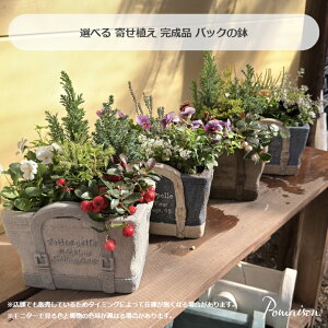 i i 񂹐A obO^̔ pW[rI̊񂹐A Rjt@[ `FbJ[x[ NX}X̊񂹐A