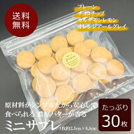 1000円ポッキリ 送料無料 1000円ぽっきり ミニサブレ 30枚入り プレーン チョコチップ お得パック 焼き菓…