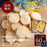 10%OFFクーポン配布中 送料無料 大容量パック 大袋 ミニサブレ 60枚入り 30枚入り2袋 味が選べる プレー…