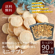 10%OFFクーポン配布中 送料無料 大容量パック 大袋 ミニサブレ 90枚入り 味が選べる プレーン チョコチッ…