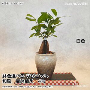 KW} ϗtA KW}̖ ٔ a 4 a ~͕ hV̓