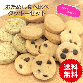 1000円ポッキリ 送料無料 スイーツ 焼き菓子 お買い物マラソン 買い回り お試し 食べ比べ クッキーセット 手作りクッキー バタークッキー チョコチップクッキー 1000ポキ