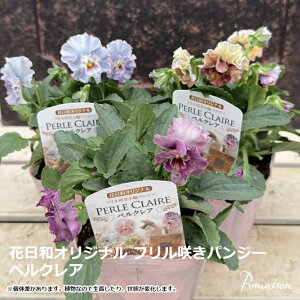 pW[ rI t炫pW[ u yNA v3O|bg`3.5|bgc ԕc 񂹐A A [X Ԓd pW[ ԓaIWi ԐFv炢