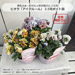 pW[ rI u ACN[ v3.5|bgc ԕc 񂹐A A [X Ԓd rI ԐFv炢 nMO ːӂ`ނ×ԓa