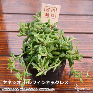 A ZlVI htBlbNX 3|bgc