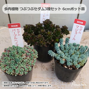 A Z_ Ԃԑ 3Zbg p[vwCY }W[ bhx[ 2i6cmj|bgc