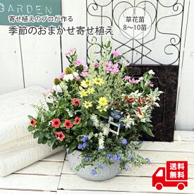 送料無料 季節のおまかせ 寄せ植え 春 夏 秋 冬 鉢植え 寄せ植え ギフト 敬老の日 誕生日 花色 鉢色 選べる寄せ植え 季節の花 鉢花 プレゼント 母の日 お歳暮 花苗 お祝い