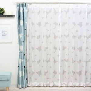 [X I[_[J[eylCzy|s[zIV k ԕ J[e 􂦂 QJ[e rOJ[e ~[[X 킢 ̎q