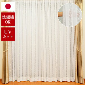 { 􂦂 [XJ[e "Rp"@ȂJ[e@hJ UVJbg@GKgȃ[XJ[e J[e@I[_[@傫TCY