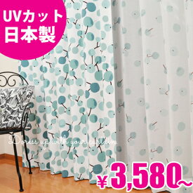 楽天市場 プルーン 木の実の通販