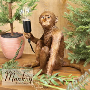 yz e[uvmTn LEDt  i LEDdΉ RZg^Cv Vz ANZg tH[ Q rO _CjO ȃGl led  Ɩ