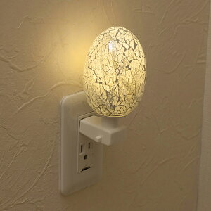 ~OXmRZgiCgviGbOjSILVERn Silver LEDdΉ Vz tH[ ^ IV ANZg Ɩ