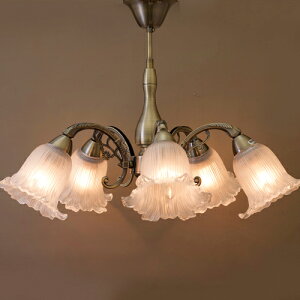 yzNVJ V[O v ROXANE (NT[k)y5zAeB[NuY zCgubVS[h LEDdΉ Vz tH[ y V[OCg VfA l