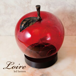 yz NEW Loire [mLED ^@Abv / 񂲁n LEDdΉ Vz tH[ led bh Abv  ʕ p Ɩ