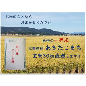 (送料無料）秋田県産 あきたこまち 玄米 30キロ 一等米 内小友ファーム 米 美味しいお米 特Aランク 米好き 美味しい キャンプ アウトドア グルメ 保存食 非常食 日本 和食 日本の心 こだわり 白米 栄養 産地ブランド