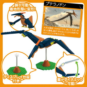 ybikku  V[Y 102p[c ubN ł vemhzj̎q ̎q 6Έȏ  m ߋ v[g Mtg 10a 11a birthday nEB NX}X j