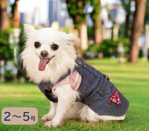 yψZ[zyGg[Ń|Cg5{mz  ~ s[X D] ~ hbOEFA H~ h ybg  s[X ^ ^  pi p[X ̕ ybgEFA 