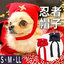 【平日14時までの注文で即発送】犬 ハロウィン 帽子 変身 小物 被り物 おもしろ コスチューム ぼうし 写真 かわいい …