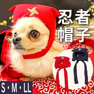 y14܂ł̒őz nEB Xq ϐg  蕨  RX`[ ڂ ʐ^ 킢 ybg RX`[ RXv CX^fEҔEҖXq SEM ELL |