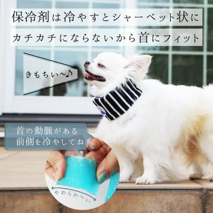 楽天市場 ポイント5倍でお得 ネコポス発送 犬 小型犬 冷たい 涼しい 夏 保冷剤 熱中症対策クールバンダナ専用 M ポンポリース ポンポリース 楽天市場店