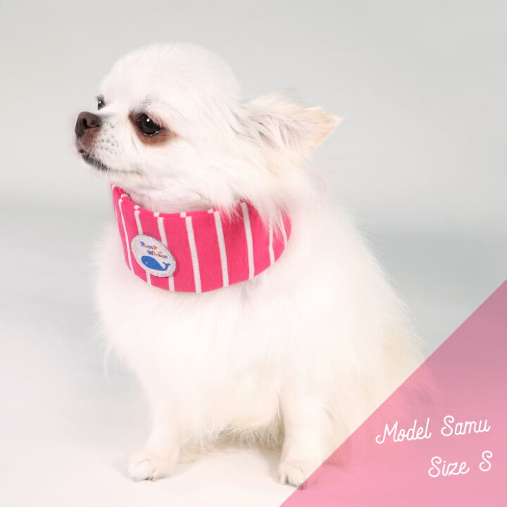 クールネック 犬用 Sサイズ クールバンダナ クールリング ペット 発売モデル クールバンダナ クールネック 犬用 Sサイズ クールバンダナ クールリング ペット 発売モデル クールバンダナ