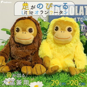 yGg[Ń|Cg5{mz  ʂ IE[^ 킢 L ybgp  s[s[ m Ȃ  pTOY OZ[ʂ݂ gI