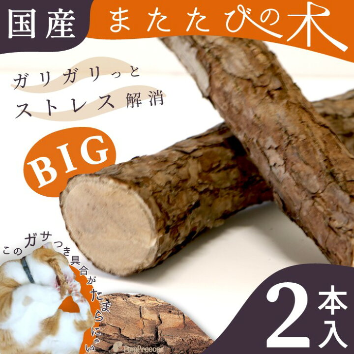 楽天市場 平日13時までの注文で即発送 猫 ペット おもちゃ 猫じゃらし またたび マタタビの木 原木 国産またたび国産 ニャンともbig またたびの木 2本入 ネコpom ポンポリース ポンポリース 楽天市場店