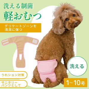 y14܂ł̒őzނ Ic }i[pc }i[pbh }i[pbg ނJo[   Xp􂦂 IcXp xg^Tj^[pc􂦂yI