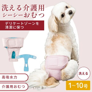 y14܂ł̒őzނ Ic }i[pc }i[pbh }i[pbg ނJo[   IXp􂦂 Ic1 Xp􂦂V[V[ނ 1`10 