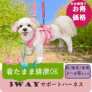 y݌ɏizV  pi n[lX nr Up xg 킢 _炩 V ^   V T|[gn[lX mJ[ 2`6 ||[X݌ɌE^Cv