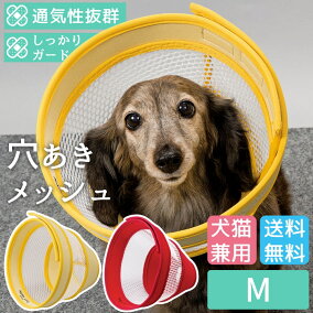 楽天市場 エリザベスカラー ハンドメイド 手作り ハンドメイド 手作り 人気ランキング1位 売れ筋商品