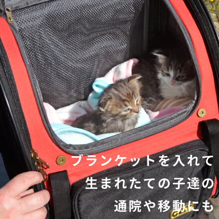 楽天市場 ポイント5倍でお得 プレゼント付 ペット用品 猫用品 ペット キャリーケース キャリー 猫用 リュック バックパック おしゃれ 可愛い 移動 旅行 車 自転車 メッシュ お出かけ 猫 猫用 キャリーバッグ 3wayタッチイン リュック スカイキャリー ポンポリース 楽天市場 ポイント5倍でお得 プレゼント付 ペット用品 猫用品 ペット キャリーケース キャリー 猫用 リュック バックパック おしゃれ 可愛い 移動 旅行 車 自転車 メッシュ お出かけ 猫 猫用 キャリーバッグ 3wayタッチイン リュック スカイキャリー ポンポリース