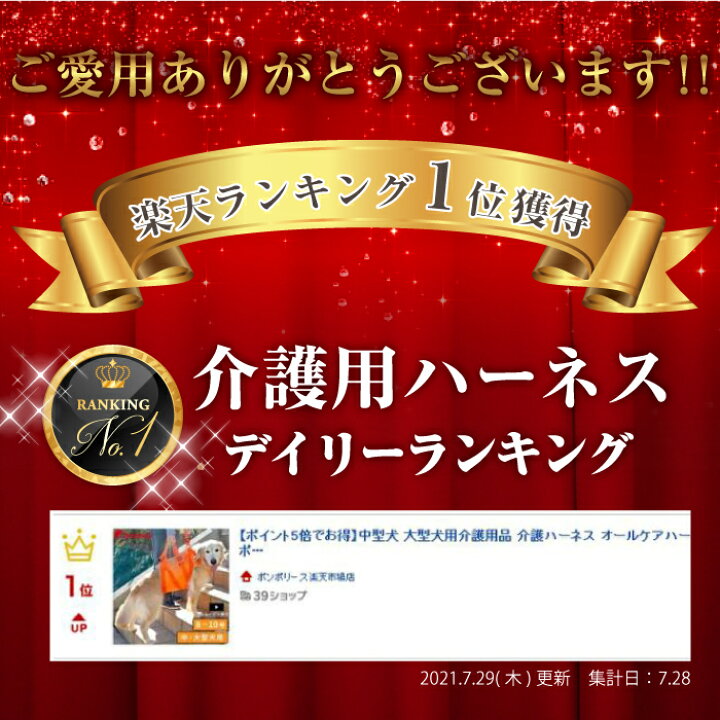 期間限定60 Off 50 Off 大型犬用 後足用ヘルプパンツ ハッピーメッシュ 9号 5096 犬 介護ハーネス 歩行補助 ポンポリース Shipsctc Org