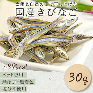 yGg[Ń|Cg5{mz  Y Y тȂ p Lp  t[h Lbgt[h hbNt[h  L N[Y]тȂ [||[X]