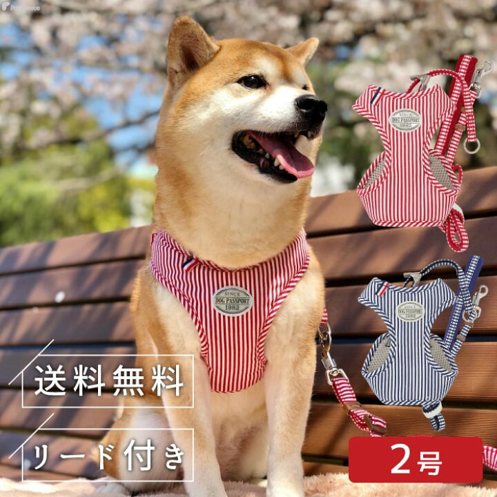 楽天市場 ポイント5倍 送料無料 ハーネス 小型犬 中型犬 ベルト 犬 リード 犬用 胴輪 犬 かわいい 安心 安全 国際特許 犬 用スーパーハーネス 胴輪 リードセット 蓄光反射ワッペン付 ネオヒッコリー 2号 ポンポリース ポンポリース 楽天市場店