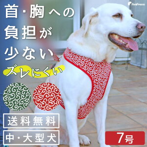 y14܂ł̒őzn[lX harness  xg  p   킢 S S ۓ ^p X[p[tBbgn[lX  7 [||[X]