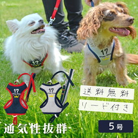 【平日14時までの注文で即発送】メッシュ 通気性抜群 ハーネス 小型犬 中型犬 ベルト 犬 リード 犬用 胴輪 犬 かわいい 安心 安全 国際特許 意匠登録 犬用 スーパーハーネス（胴輪）&リードセット エアメッシュ 5号 [ポンポリース]