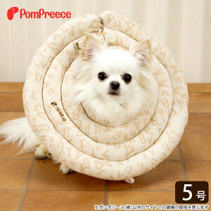 yZ[i14܂ł̂őzԕis  Lp \tg Chh[ic GUxXJ[ I[KjbNWK[h 5 [||[X]