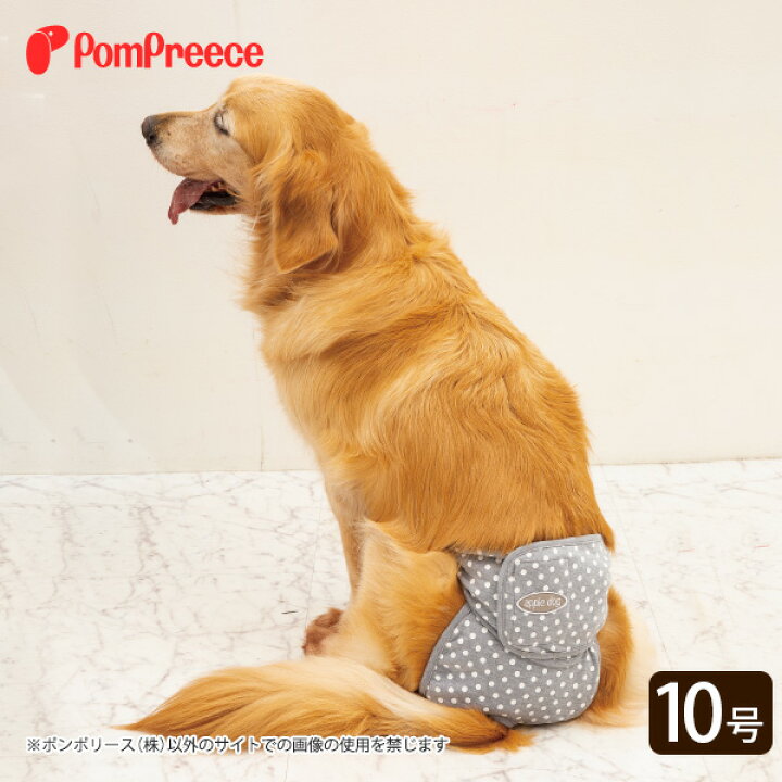 かわいい ポンポリース ベルト型 サニタリーパンツ 中大型犬用 10号 キャンディドット 犬用品
