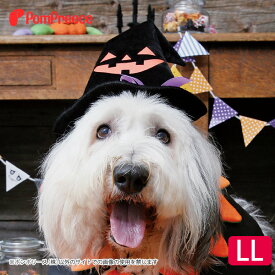 楽天市場 ハロウィン 魔女 帽子 ペット ペットグッズ の通販