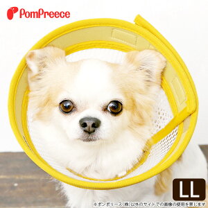 犬 ベルの通販 価格比較 価格 Com