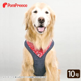 楽天市場 バンダナ 適正犬種ゴールデン レトリバー 首輪 胴輪 リード 犬用品 ペット ペットグッズの通販