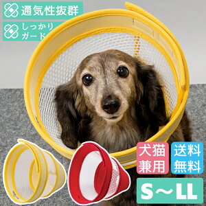 yGg[Ń|Cg5{mz GUxXJ[ \tg  L ybg y _炩 炩 r r h~ ی p㕞̑ ʋCQLpGUxXJ[ O