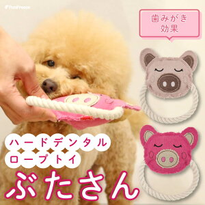 yGg[Ń|Cg5{mz  lR L ނߋ [v ^ ^ ^ ybgp XgX ^s ݂  f^ 